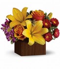 Full of Laughter Premier Flowers from Cottage Florist, Lakeland Fl 33813